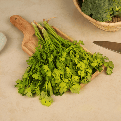 Coriander Bunch (Dhaniya Patta)